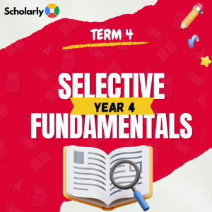 Year 4 Selective Fundamentals Term 4 (PM) 2025
