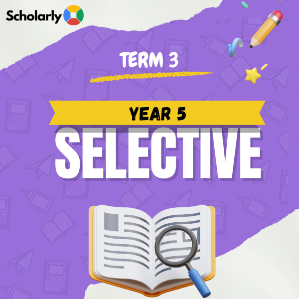 Year 5 Selective Term 3 (PM) 2025