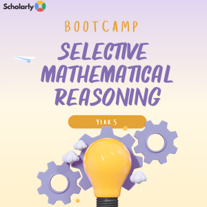 Selective Mathematical Reasoning Accelerator