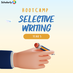 Selective Writing Bootcamp