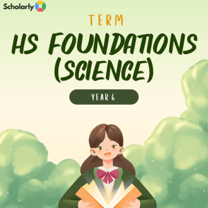 Year 6 High School Foundations SCIENCE Focused Term 4 2026